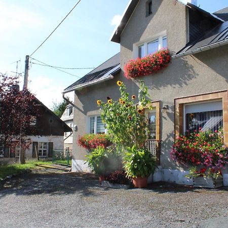 Ferienwohnung Am Muehlbach Klingenthal Zewnętrze zdjęcie