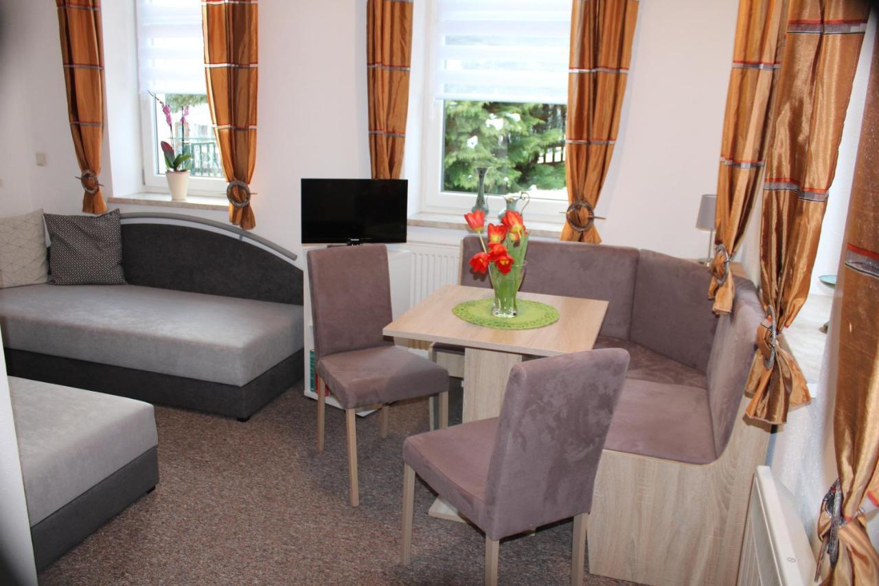 Ferienwohnung Am Muehlbach Klingenthal Zewnętrze zdjęcie