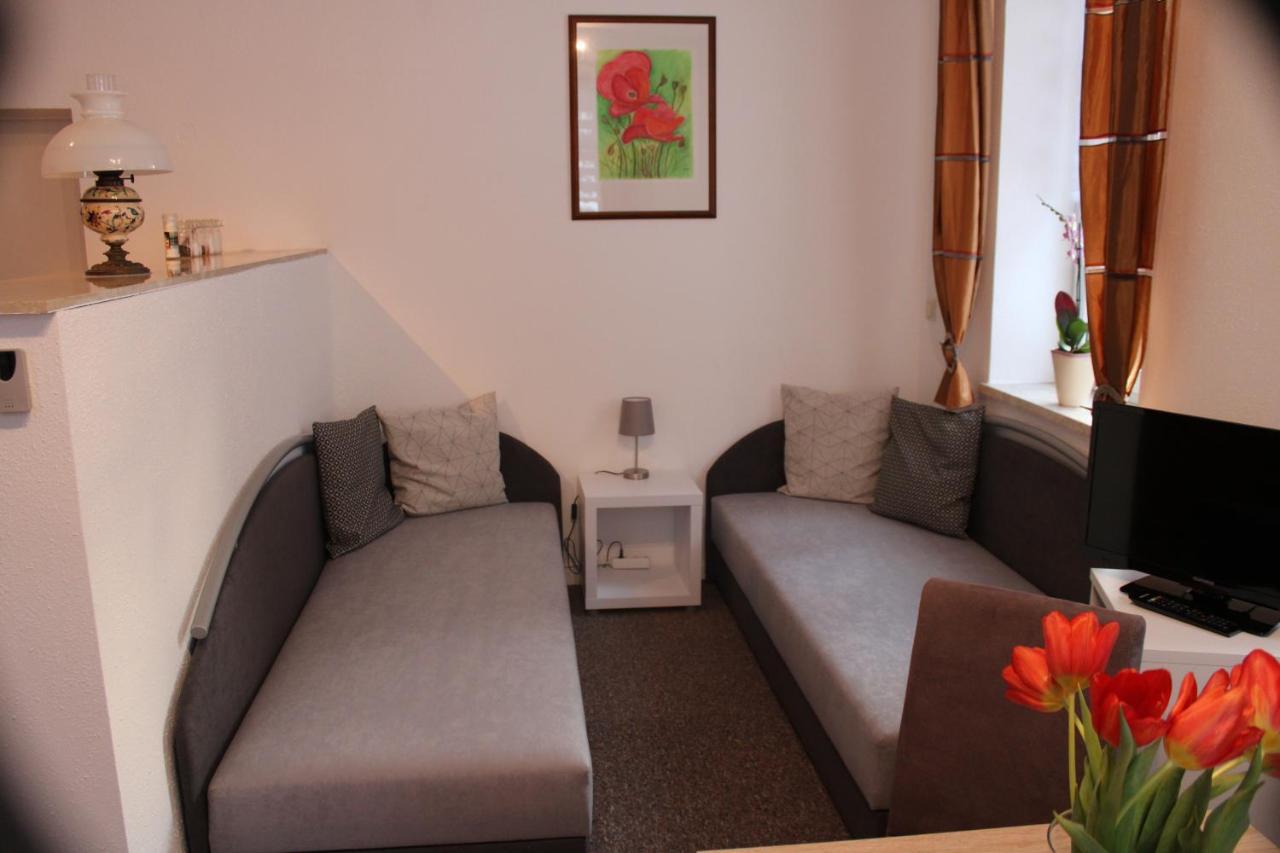 Ferienwohnung Am Muehlbach Klingenthal Zewnętrze zdjęcie