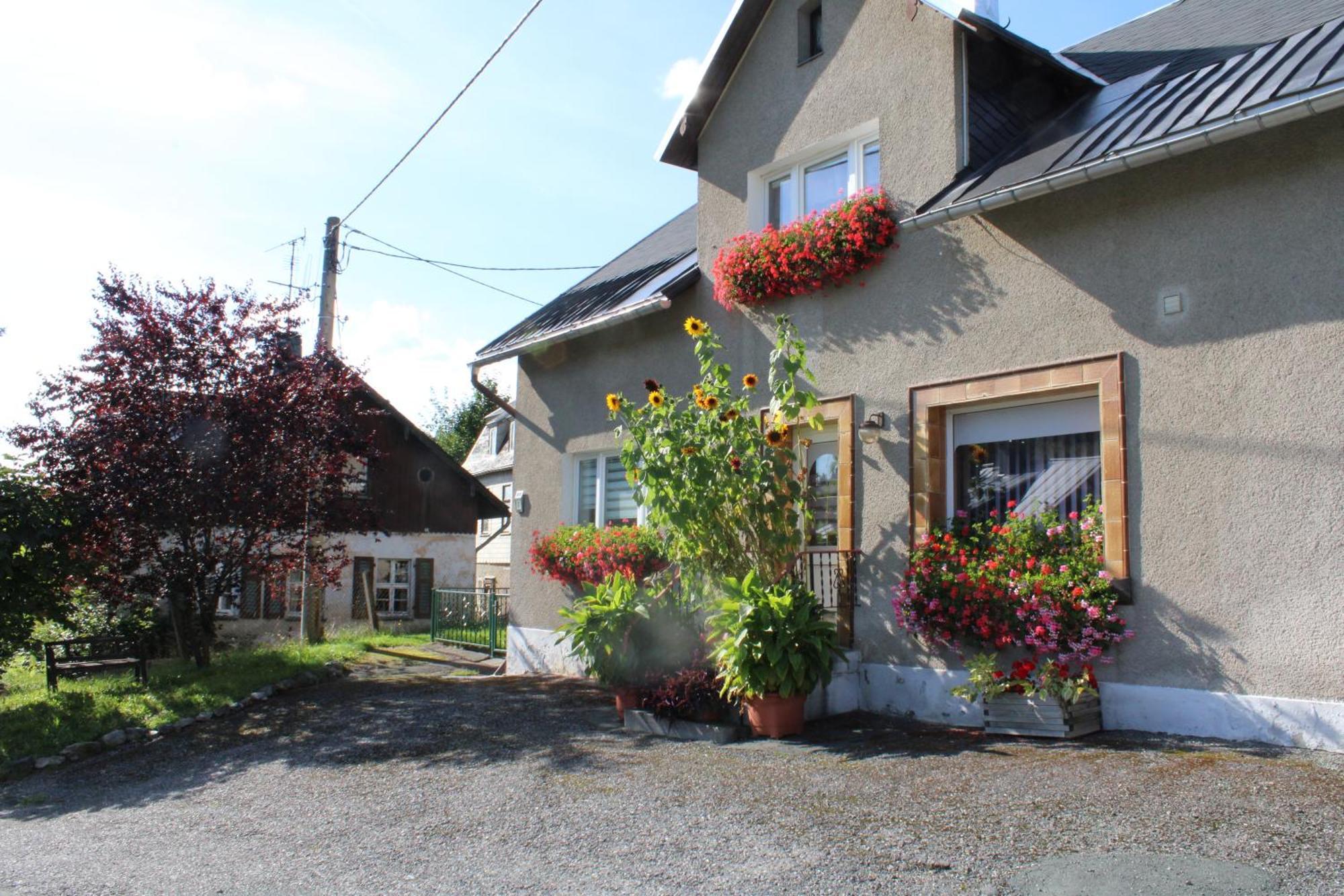 Ferienwohnung Am Muehlbach Klingenthal Zewnętrze zdjęcie